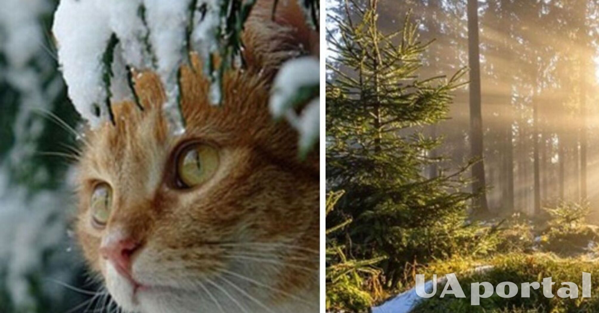 Украину накрывает антициклон: прогноз погоды на 4 декабря