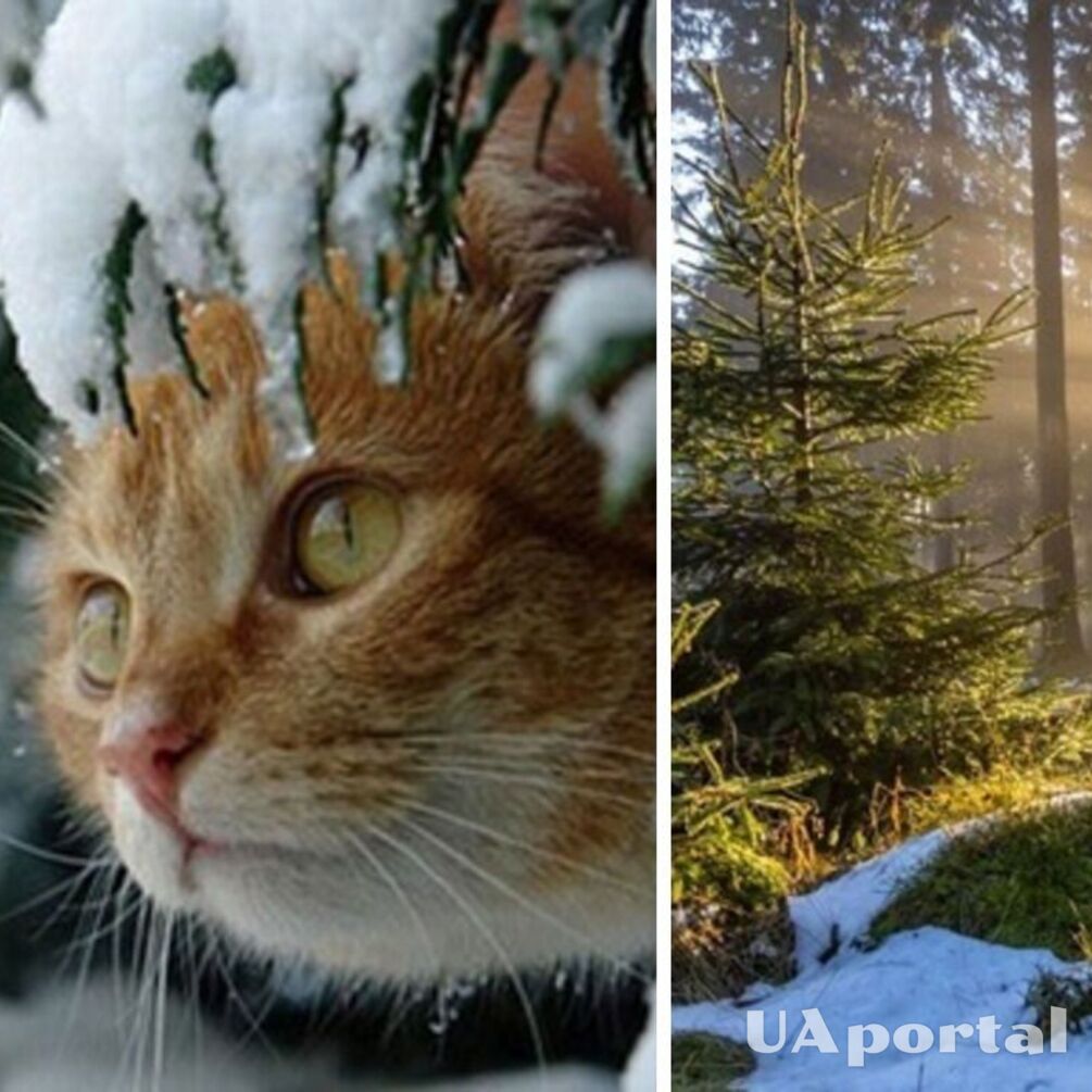 Україну накриває антициклон: прогноз погоди на 4 грудня