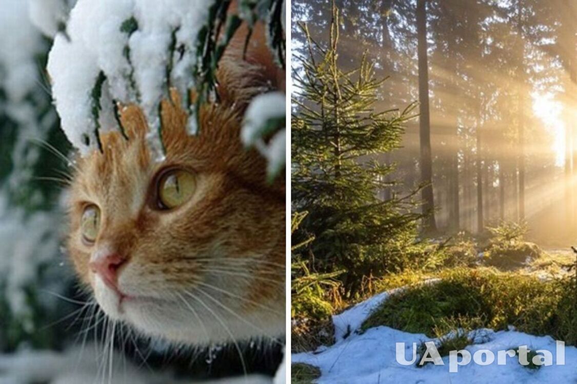 Україну накриває антициклон: прогноз погоди на 4 грудня