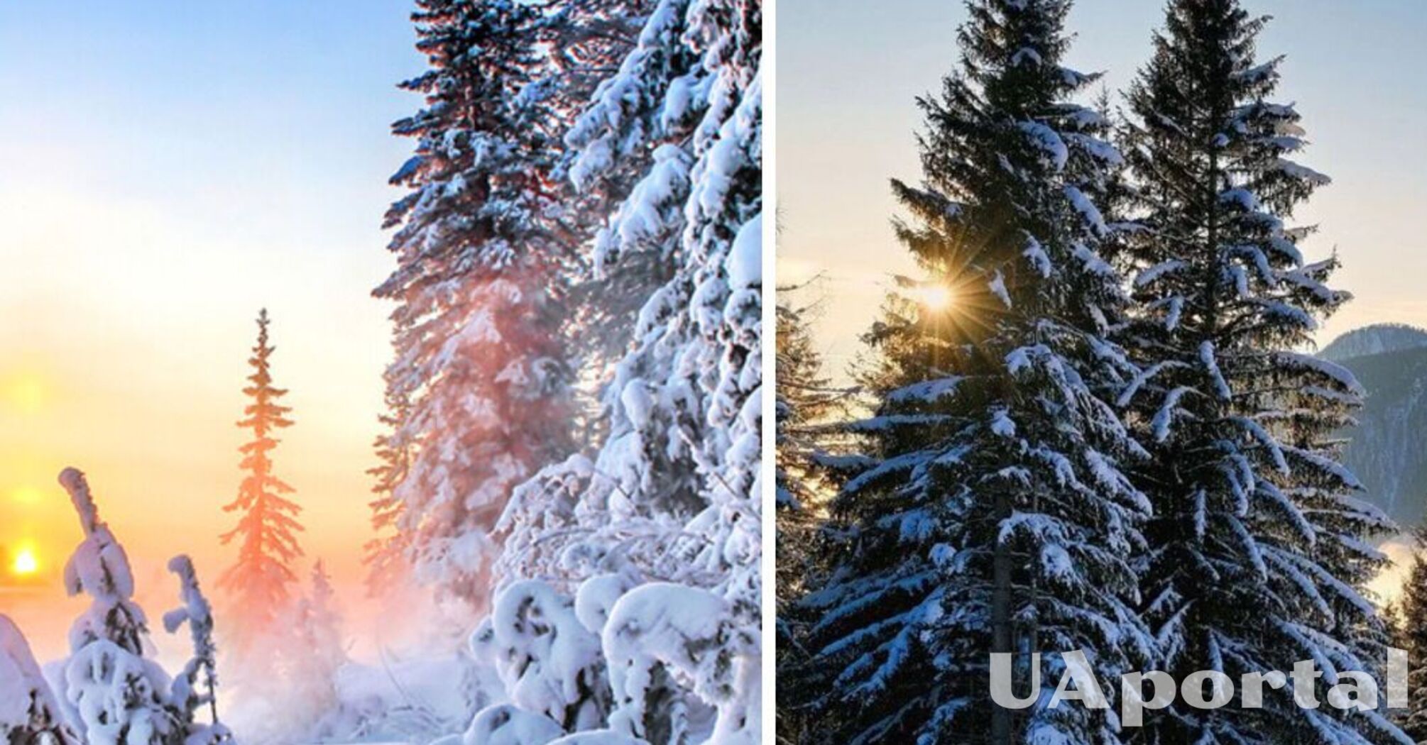 Морози до 14 градусів та штормовий вітер: прогноз погоди на Новий рік   