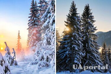 Морозы до 14 градусов и штормовой ветер: прогноз погоды на Новый год