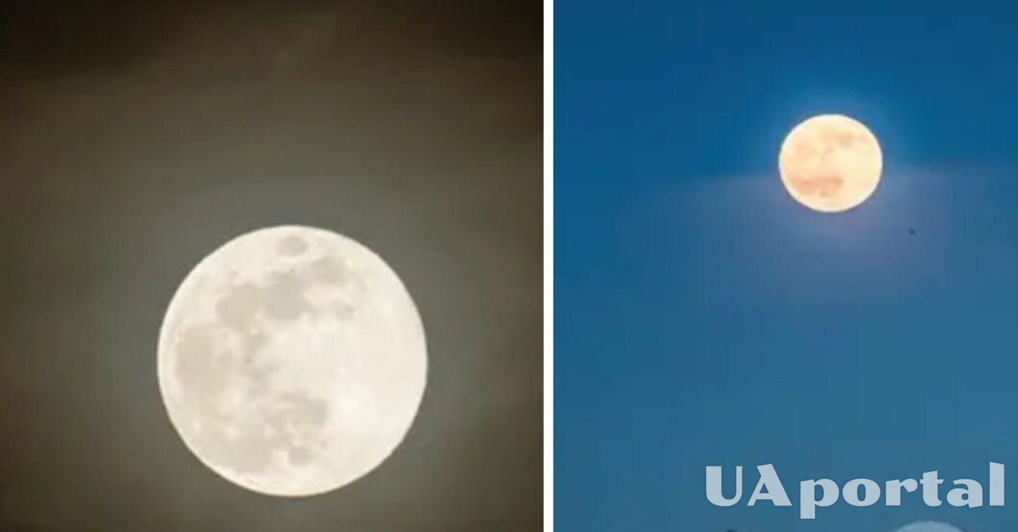 Одно из самых красивых космических явлений: когда можно увидеть Волчья луна и что это такое