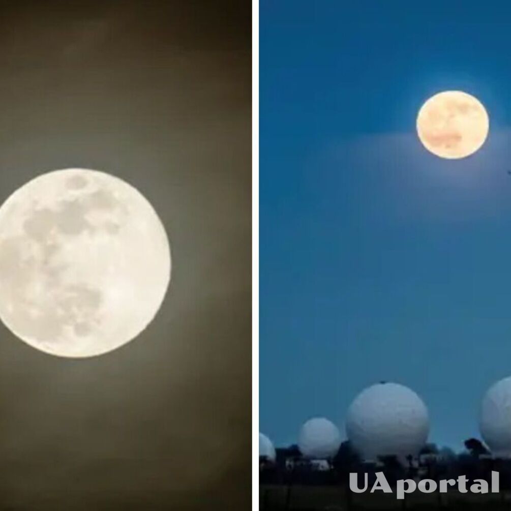 Одно из самых красивых космических явлений: когда можно увидеть Волчья луна и что это такое