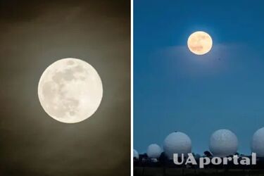 Одно из самых красивых космических явлений: когда можно увидеть Волчья луна и что это такое