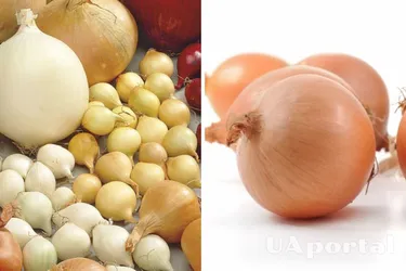 В Украине упала цена на популярный овощ: сколько стоит