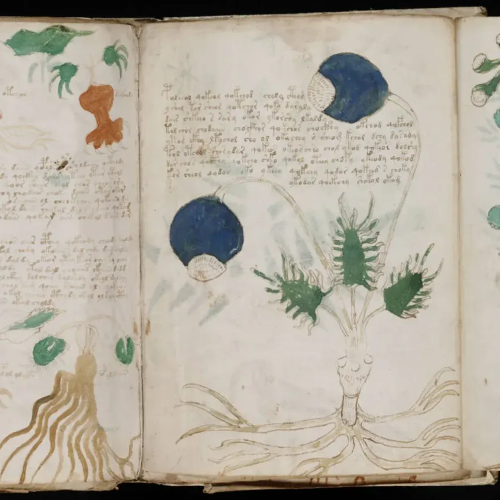 Науковці зробили крок до розгадки рукопису Войнича: про що йдеться (фото)