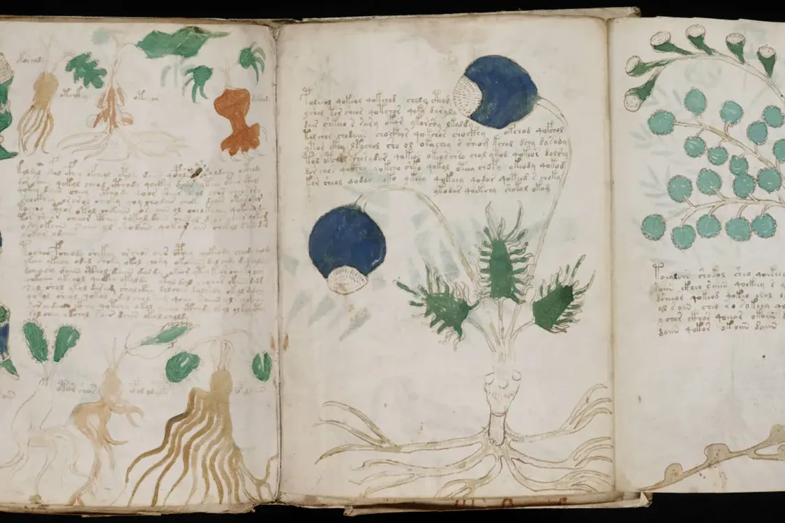 Науковці зробили крок до розгадки рукопису Войнича: про що йдеться (фото)