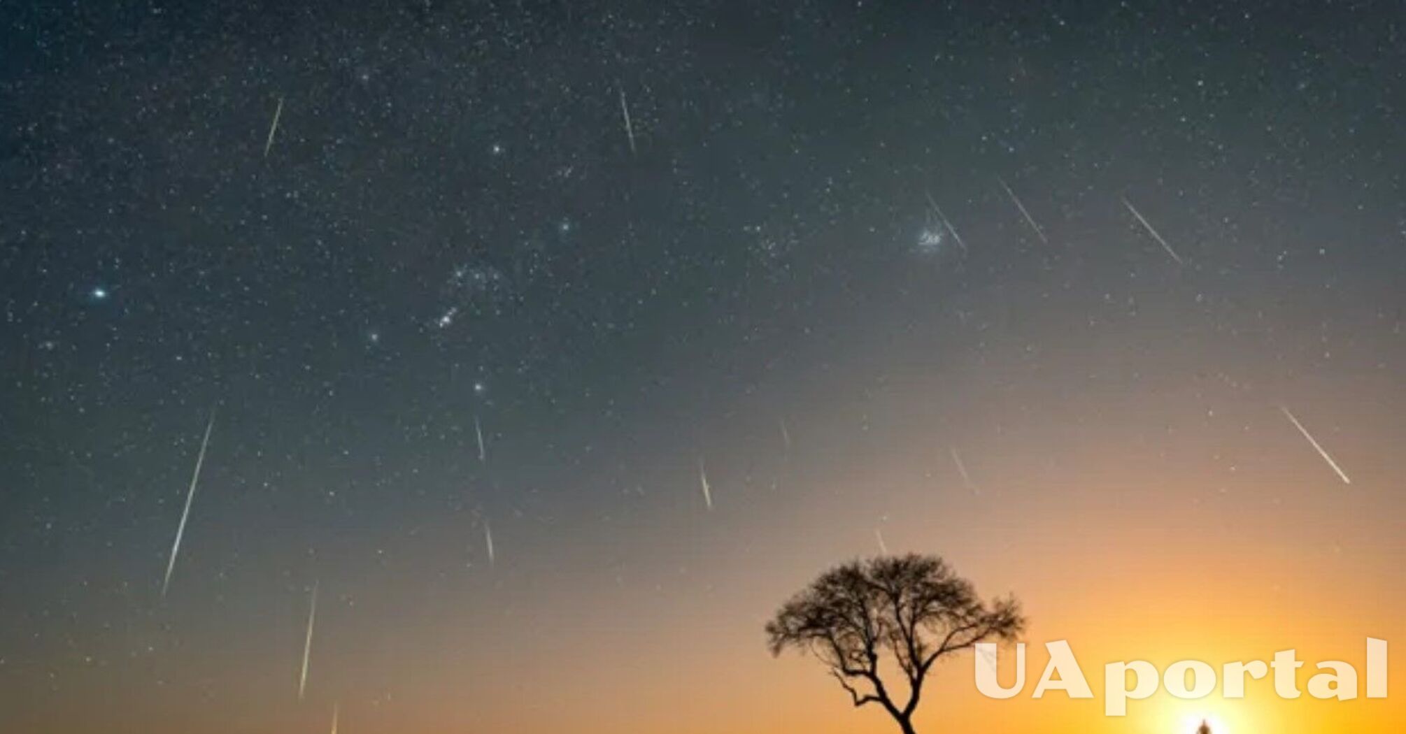 Одна з найочікуваніших астрономічних подій року: що таке метеорний потік Гемінідт та коли можна спостерігати  