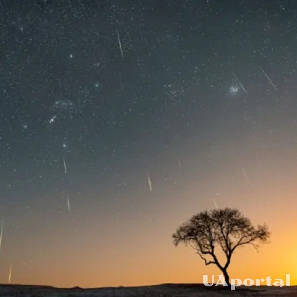 Одно из самых ожидаемых астрономических событий года: что такое метеорный поток Геминидт и когда можно наблюдать