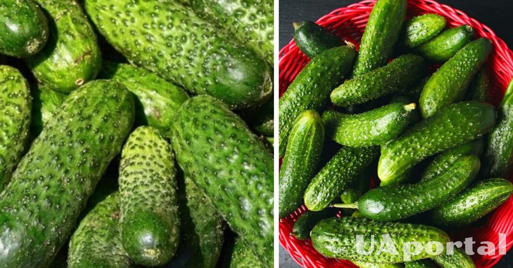 В Украине выросла цена на популярный овощ: сколько стоит килограмм