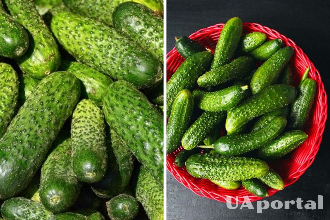 В Україні зросла ціна на популярний овоч: скільки коштує кілограм