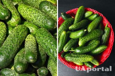 В Украине выросла цена на популярный овощ: сколько стоит килограмм