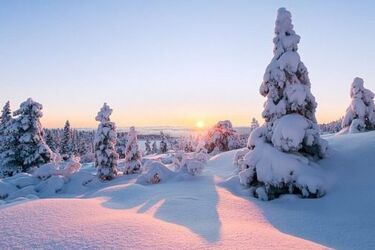 Україну накриває холодний фронт: коли суттєво похолодає