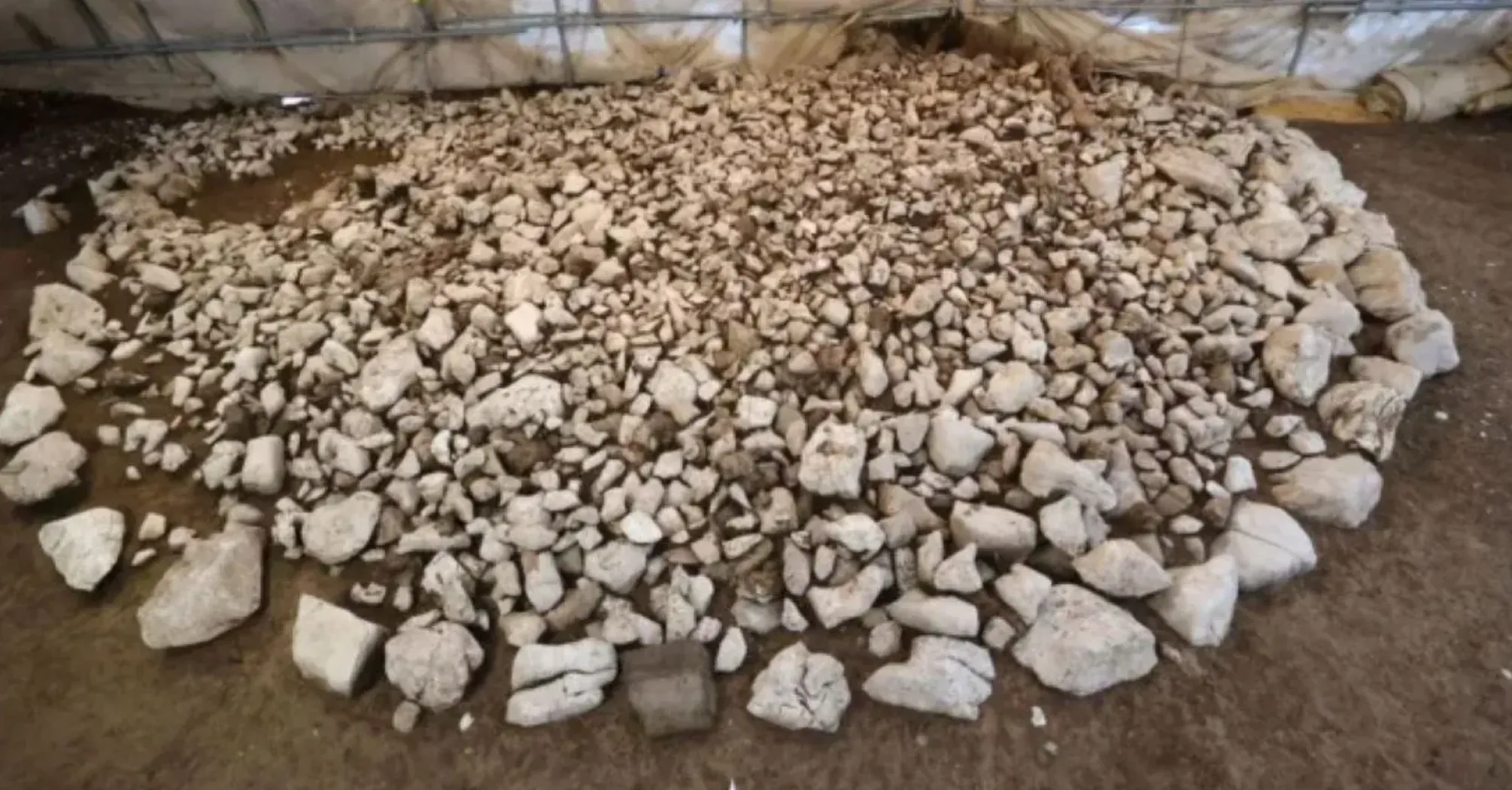 В Швейцарии обнаружили курган железных суток: чем уникален (фото)