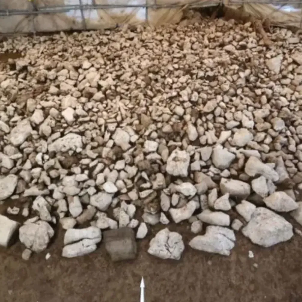 У Швейцарії виявили курган залізної доби: чим унікальний (фото)