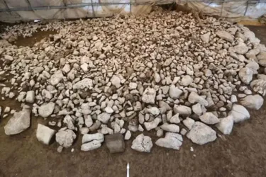 В Швейцарии обнаружили курган железных суток: чем уникален (фото)