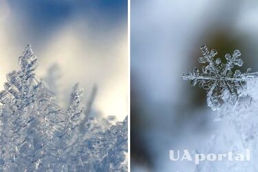 Безсніжно та морозно: прогноз погоди в Україні на 11 лютого