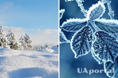 Будет сохранятся плюсовая температура: прогноз погоды в Украине на 12 февраля