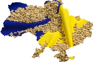 Якщо Росія так хоче нейтрального статусу України, то референдум і вибори мають відбутися у кордонах 2014 року