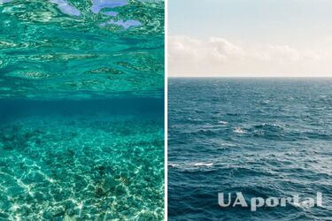 Вчені виявили на дні Тихого океану унікальну знахідку віком 10 мільйонів років: про що йдеться