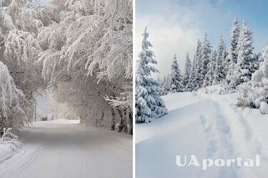 Очікуються морози та снігопади: прогноз погоди в Україні на 15 лютого