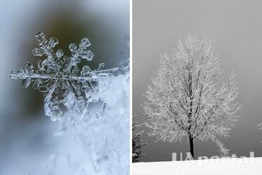 Переменная облачность и до 9 градусов мороза: прогноз погоды в Украине на 20 февраля.