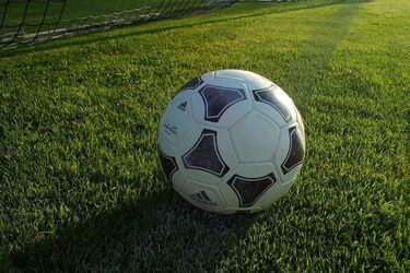 Футбольный мяч на зеленом поле возле ворот в солнечный день