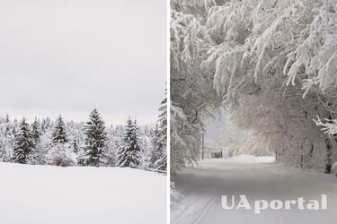 До 21 градуса мороза и без осадков: прогноз погоды в Украине на 25 февраля