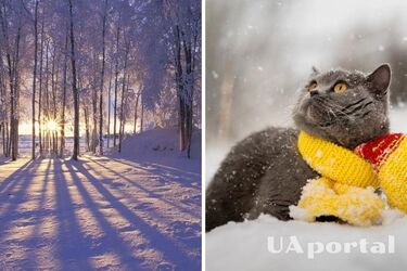 До 19 градусов мороза и слабые осадки: прогноз погоды в Украине на 26 февраля