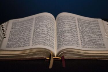 Таємниці Біблії: вчені розкривають правду, хто її писав і що приховує історія