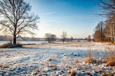 Несподіване потепління: в якій області України очікується майже весняне тепло до +7°C
