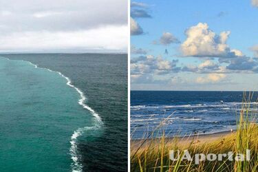 Ученые обнаружили аномалию в Балтийском море: чем уникальна