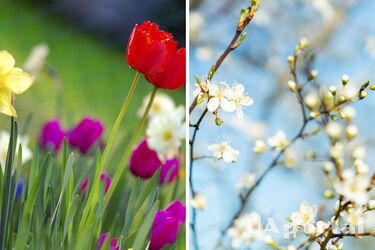 Солнечно, сухо и до 18 градусов тепла: прогноз погоды в Украине на 11 марта.