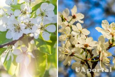 Похолодание и дожди: прогноз погоды в Украине на 13 марта.