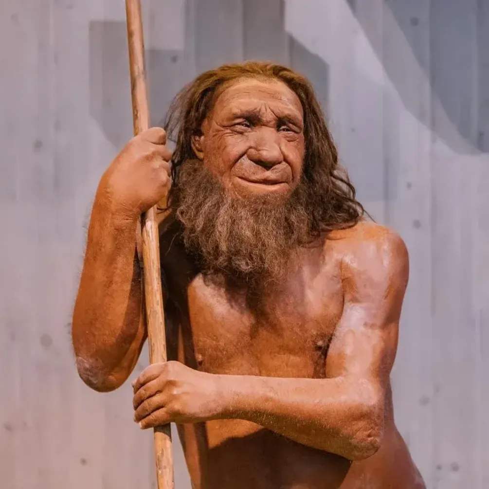 What did ancient Europeans look like: an unexpected discovery