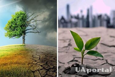 Среднегодовая температура в Украине может вырасти на 2-4°C: в Минсреди поразили нелестным прогнозом