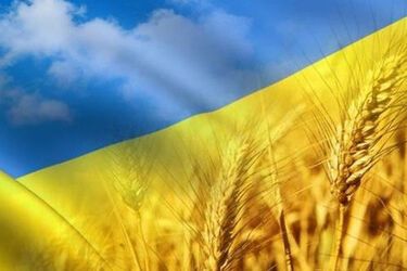Когда в Украине ожидается потепление: прогноз погоды
