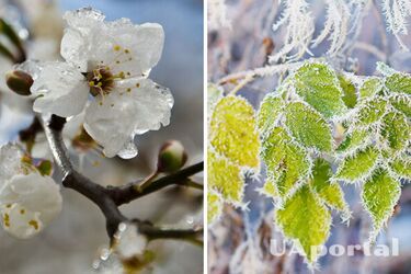 Без опадів та до +8: погода в Україні на 19 березня