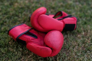 Red boxing gloves lie on the grass