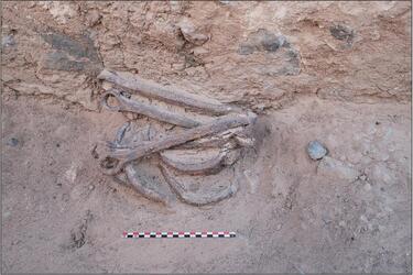 Shackles dating back to 2000 years discovered in Egypt: what is interesting