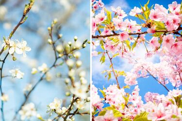 Найхолодніше - на заході: прогноз погоди в Україні на 20 березня