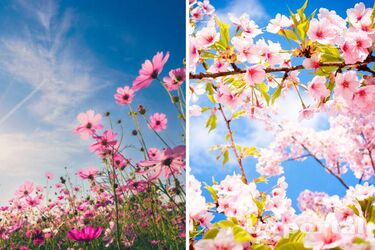 До 16 градусов тепла и преимущественно без осадков: прогноз погоды в Украине на выходные