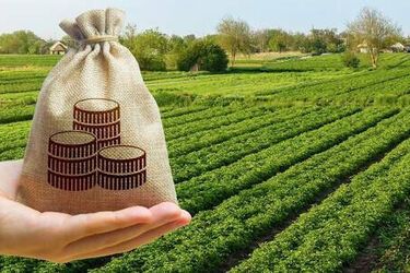 Земельний податок в Україні: чи повинні його сплачувати особи з інвалідністю 3 групи