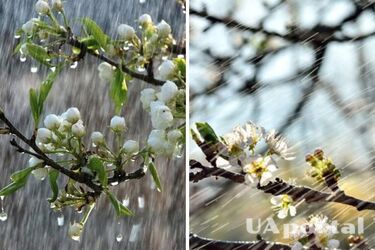 Похмура погода та дощі: прогноз погоди в Україні на 26 березня