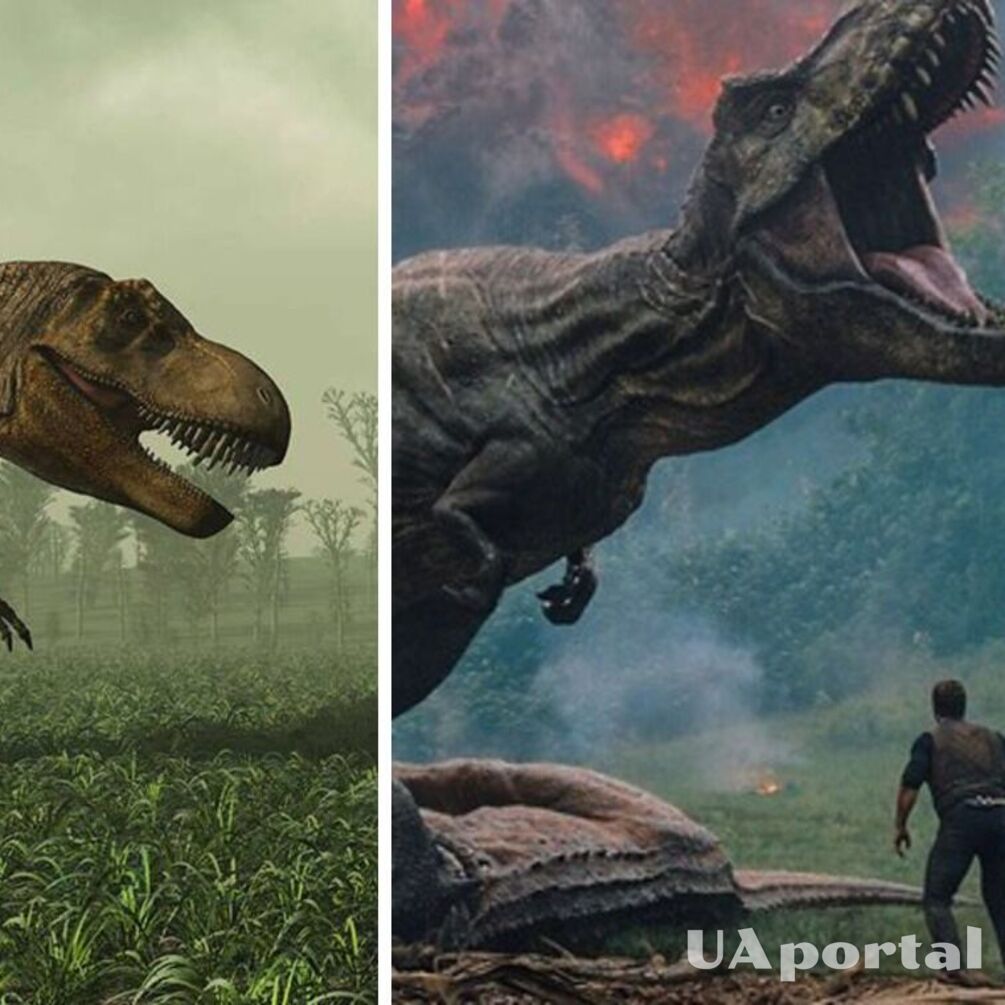 Remains of a new dinosaur species discovered in Mongolia: what makes them unique