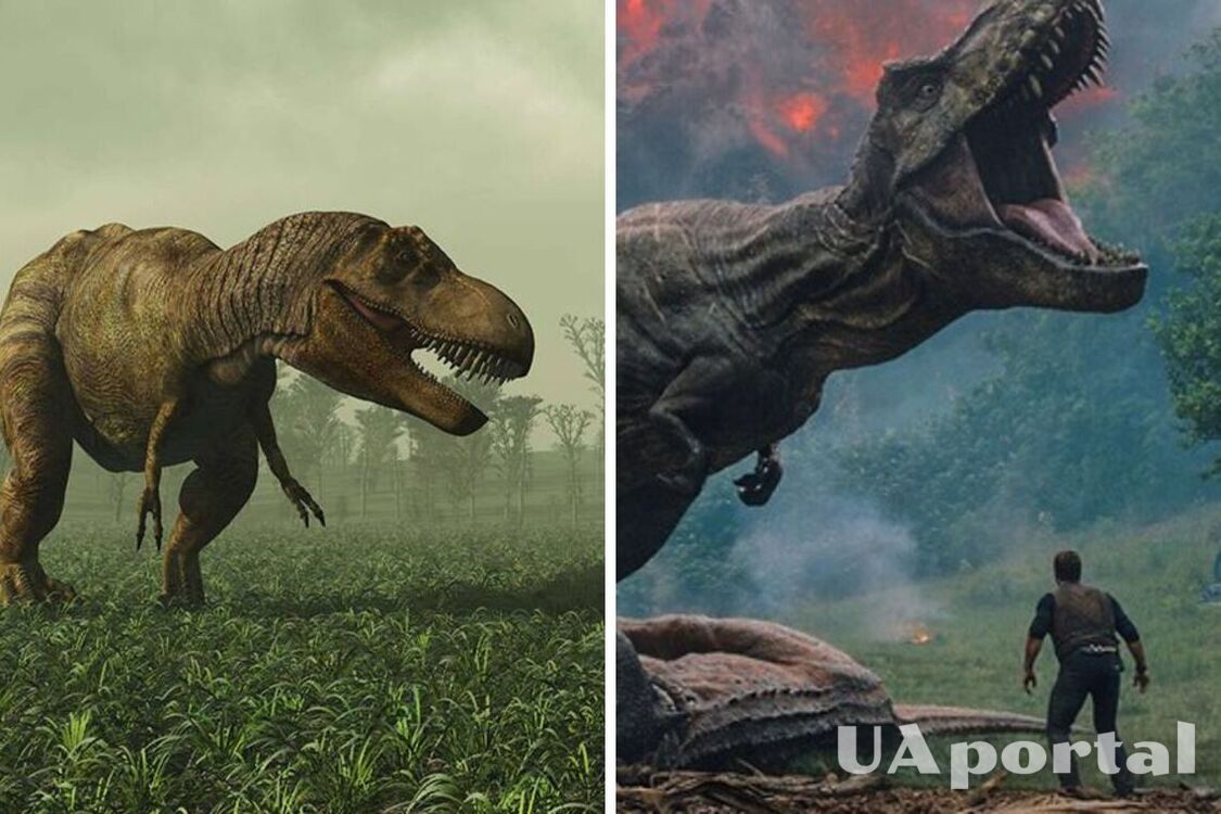 Remains of a new dinosaur species discovered in Mongolia: what makes them unique