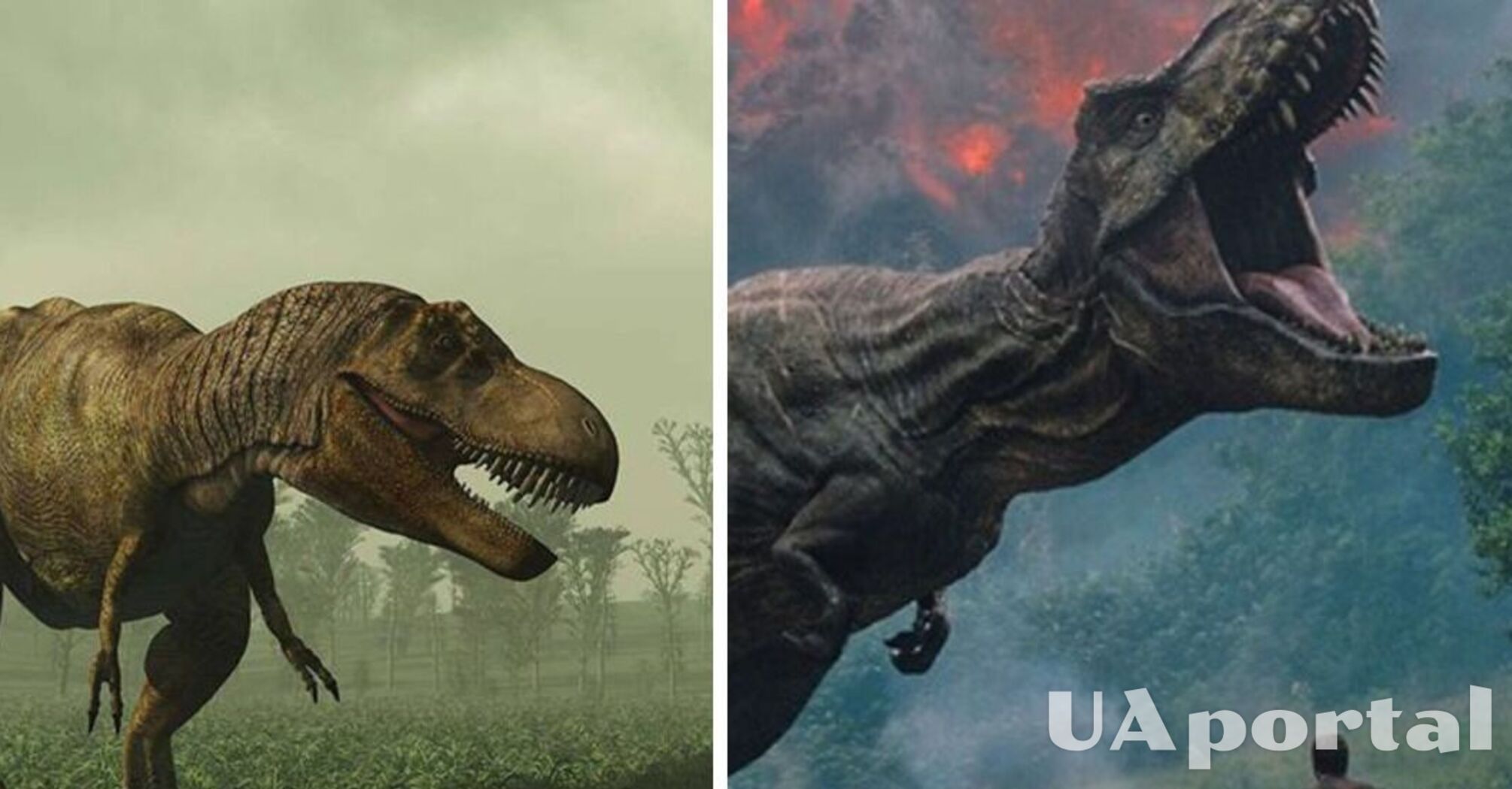 Remains of a new dinosaur species discovered in Mongolia: what makes them unique