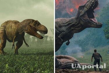 Remains of a new dinosaur species discovered in Mongolia: what makes them unique