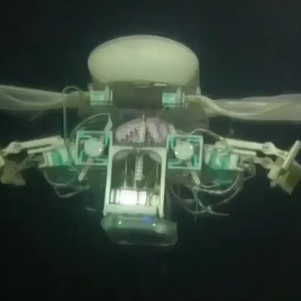 Chinese scientists have created a unique robot that may exist at the bottom of the Mariana Trench: details