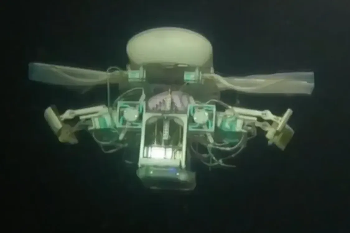 Chinese scientists have created a unique robot that may exist at the bottom of the Mariana Trench: details